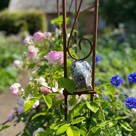 Hébergement de vacances Alte Kutscherremise Vom Gut Niendorf
