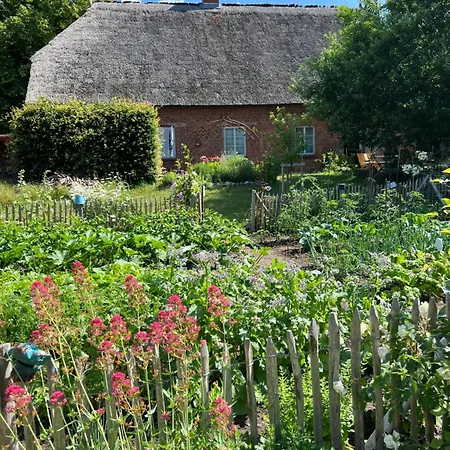 Alte Kutscherremise Vom Gut Niendorf *