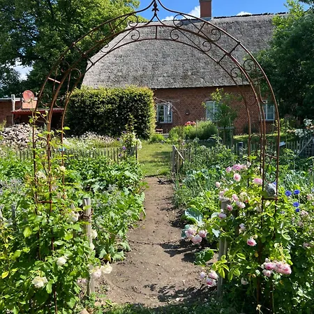 Alte Kutscherremise Vom Gut Niendorf Hébergement de vacances