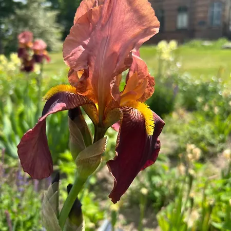 Alte Kutscherremise Vom Gut Niendorf Hébergement de vacances *