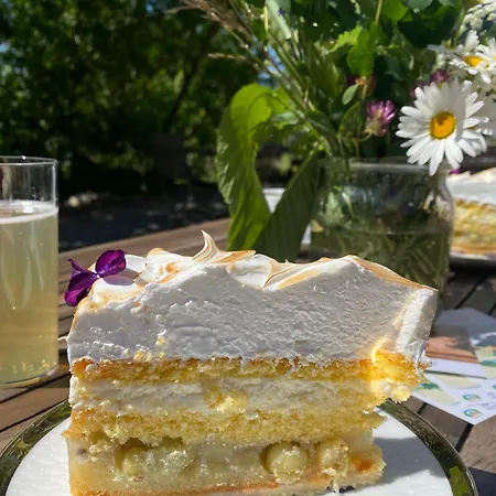 Alte Kutscherremise Vom Gut Niendorf Hébergement de vacances Bad Kleinen
